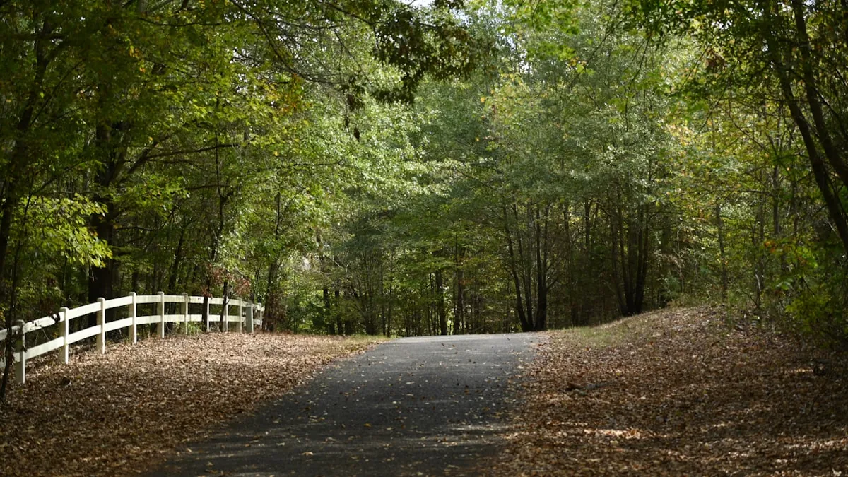 Professional auto detailing services near Montgomery TX