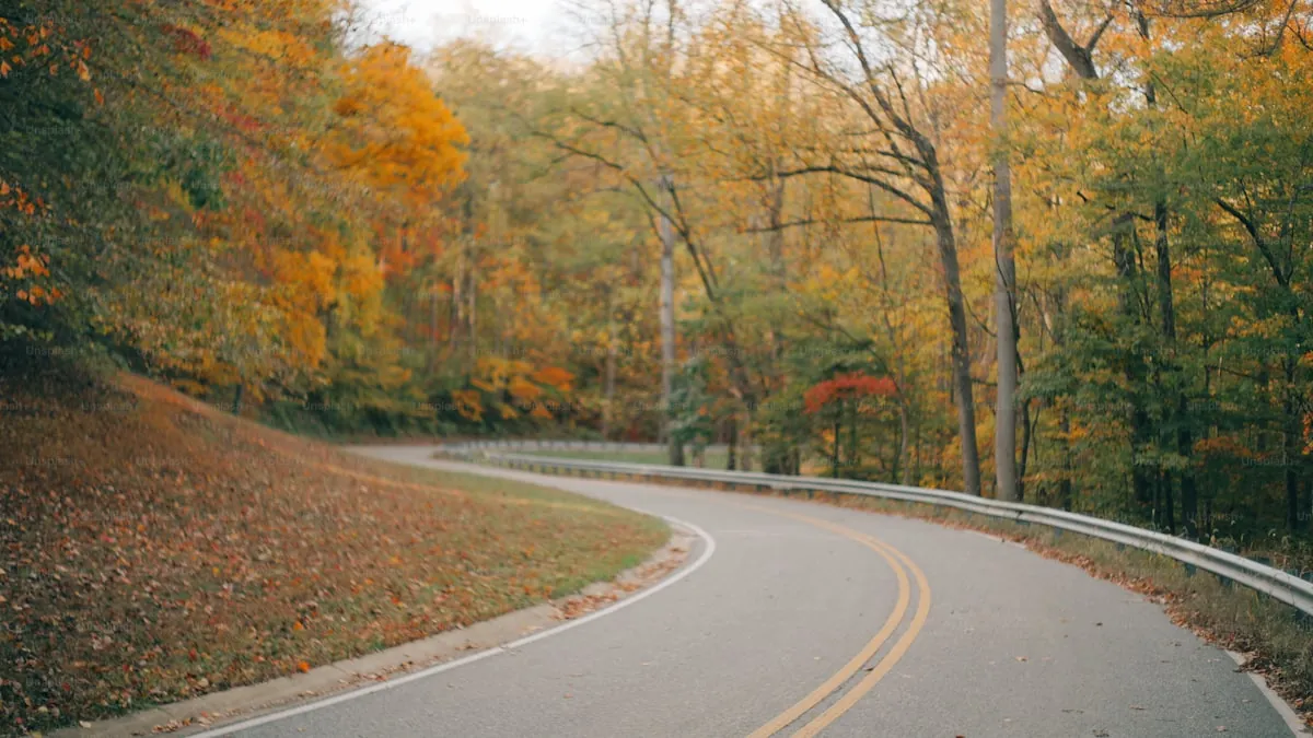 Vehicle receiving professional detailing service in a climate-controlled shop in Texas